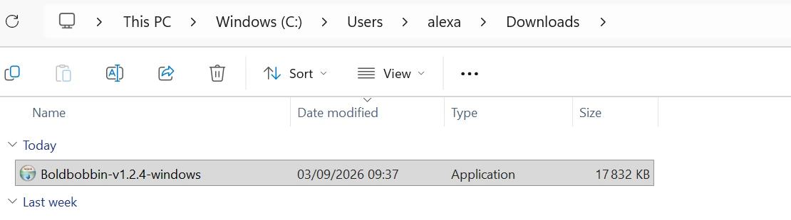 The Downloads folder in File Explorer, with Boldbobbin-v1.2.4-windows listed under Today, its Type given as Application.